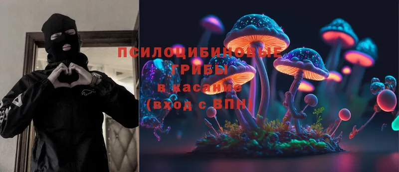 закладка  Бикин  Галлюциногенные грибы MAGIC MUSHROOMS 